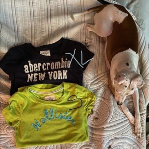 Abercrombie & Hollister t-shirts